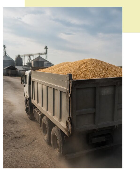 Перевозка сельхозпродукции навалом в Новомосковск по цене от 3098 р. | Агросервис-Нвм